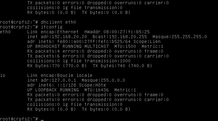 Copie d'écran sur Linux. Utilisation de la commande ifconfig après dhclient