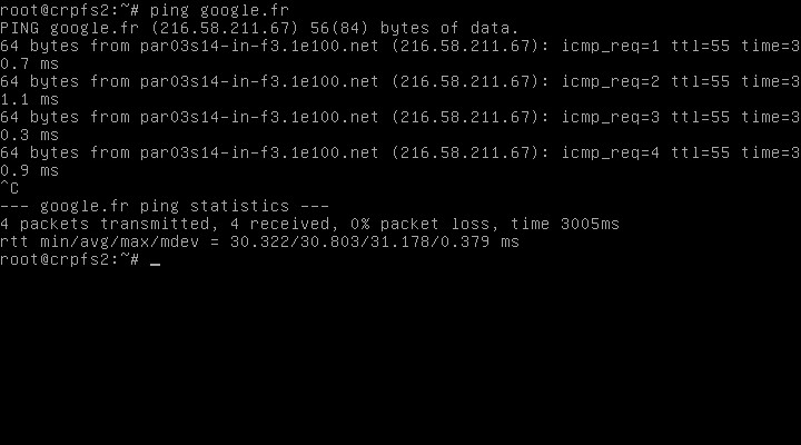 Copie d'écran sur Linux. Résultat de la commande ping après configuration du réseau